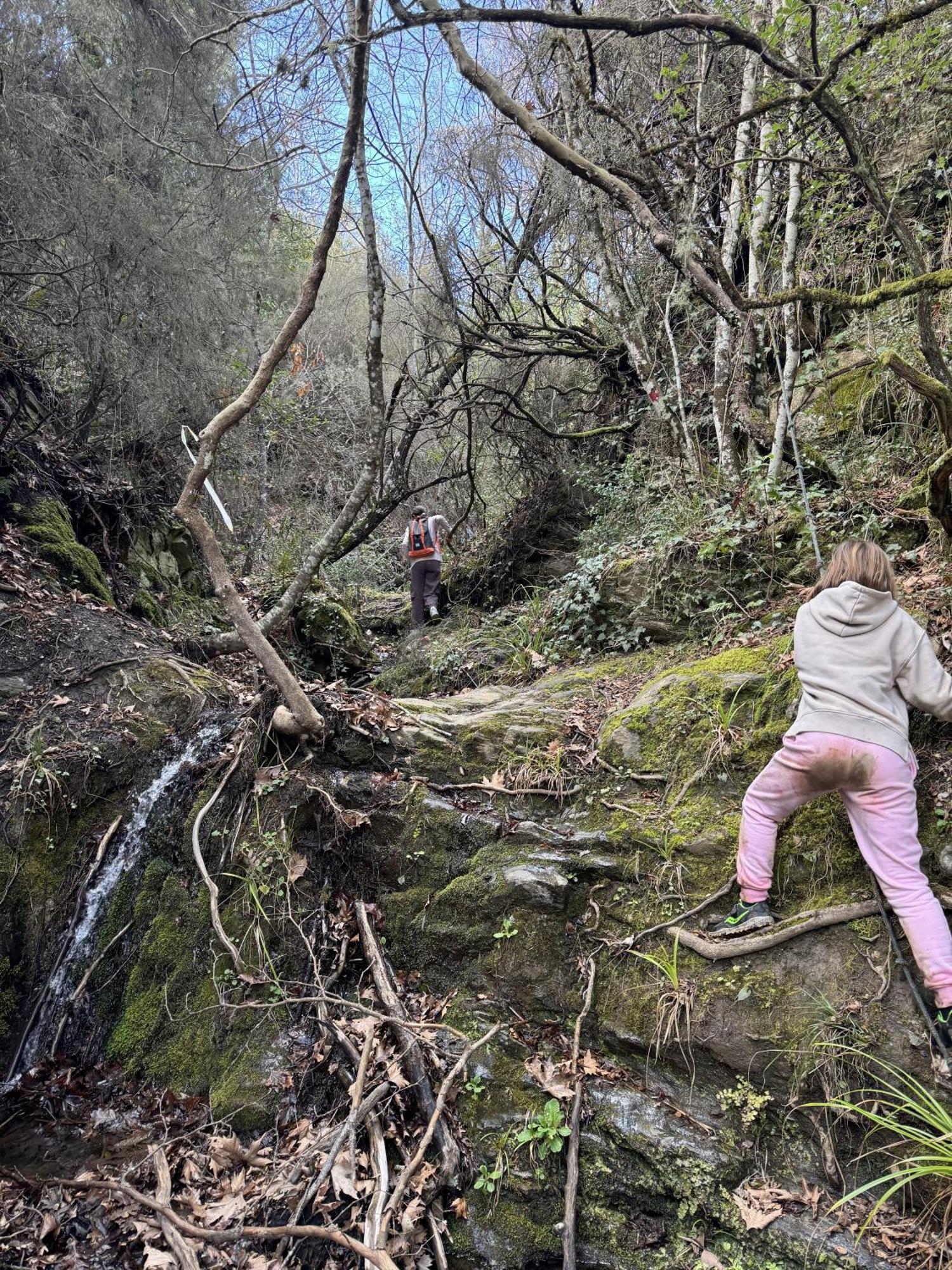 Foresta In Medias Mores Tripoli Buitenkant foto