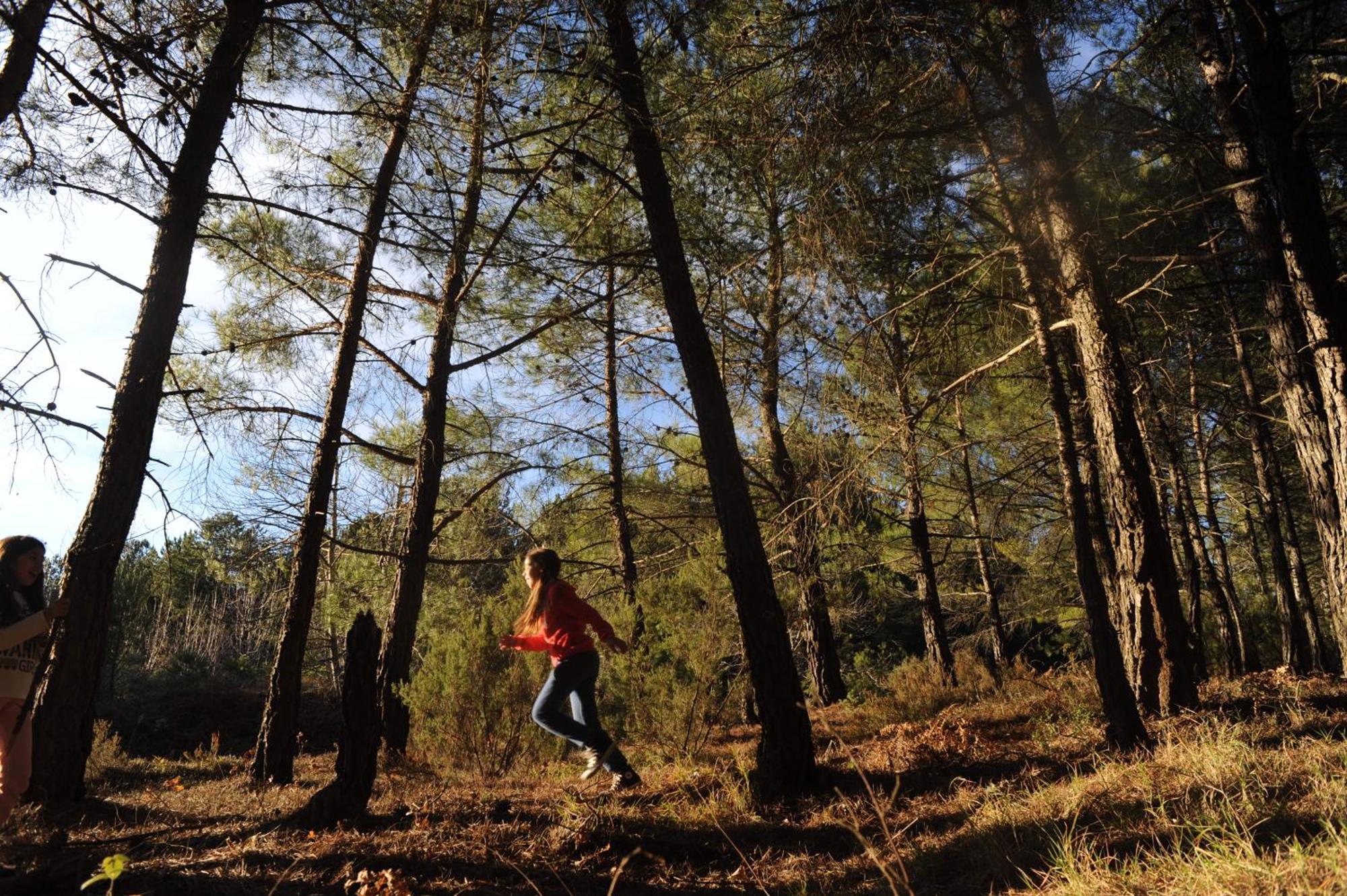 Foresta In Medias Mores Tripoli Buitenkant foto