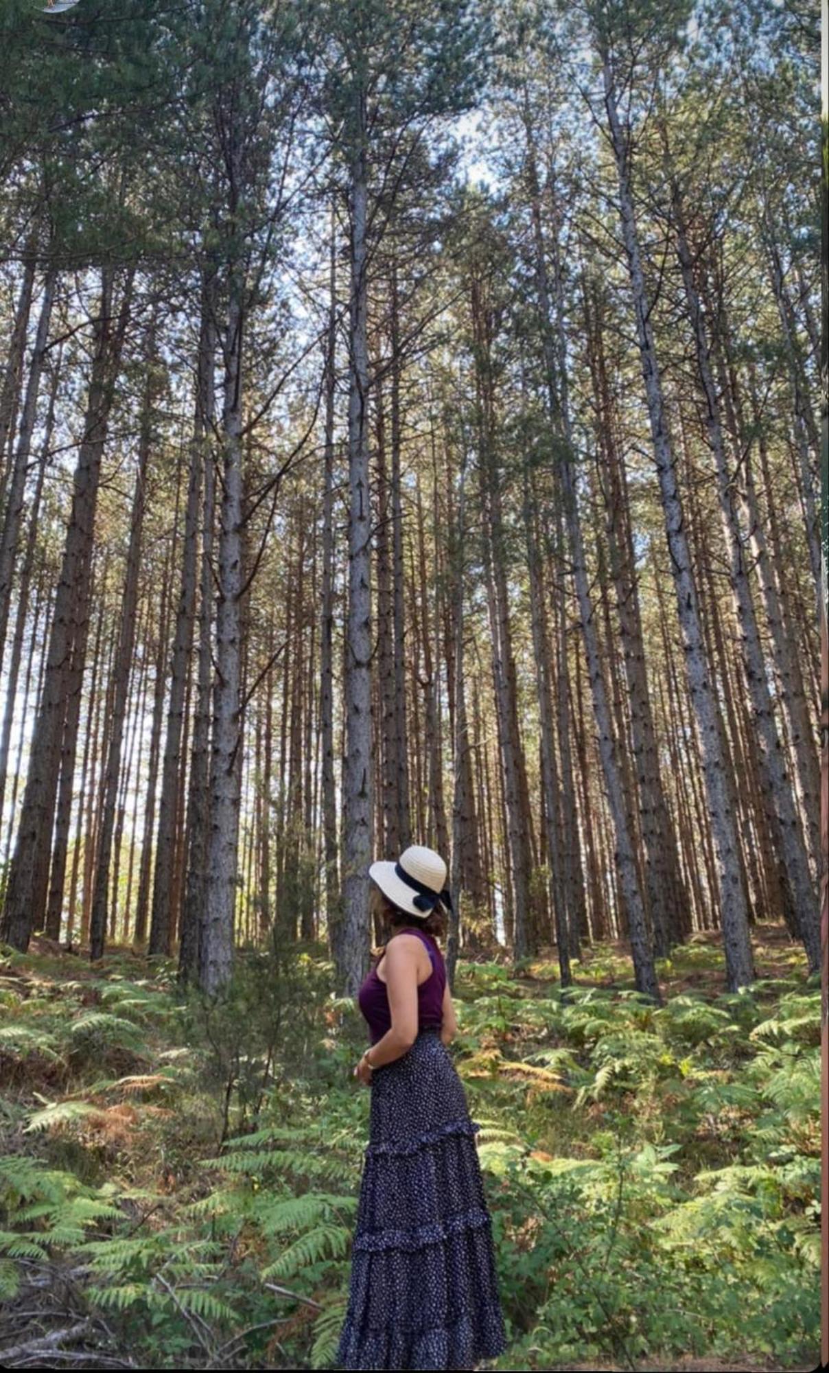 Foresta In Medias Mores Tripoli Buitenkant foto