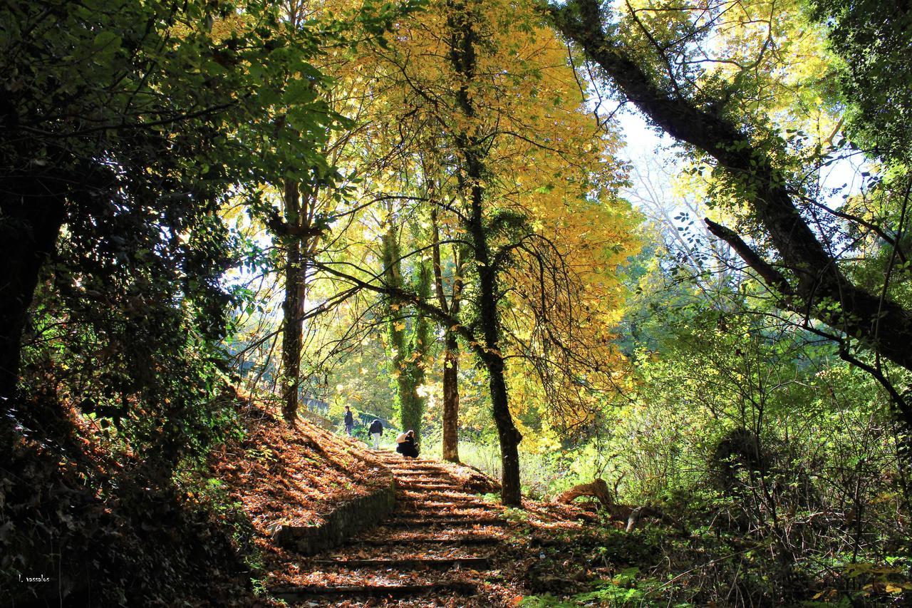 Foresta In Medias Mores Tripoli Buitenkant foto